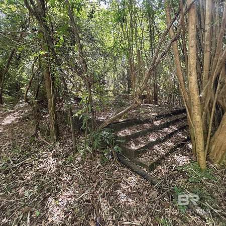 10 Acres of Recreational & Residential Land for Sale in Robertsdale, Alabama