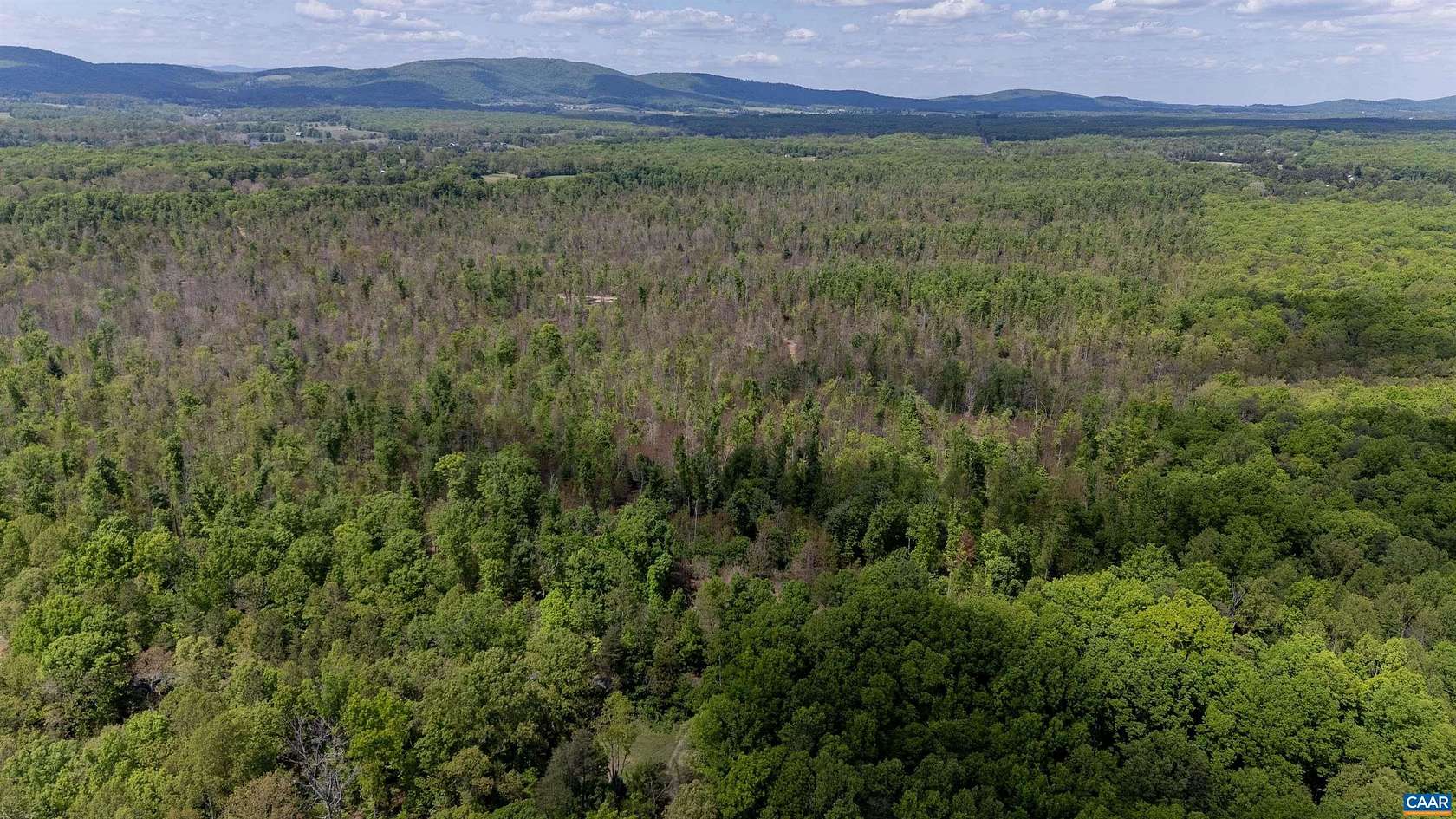 315 Acres of Agricultural & Residential Land for Sale in Zion Crossroads, Virginia