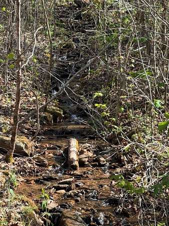 1.42 Acres of Land for Sale in Hayesville, North Carolina