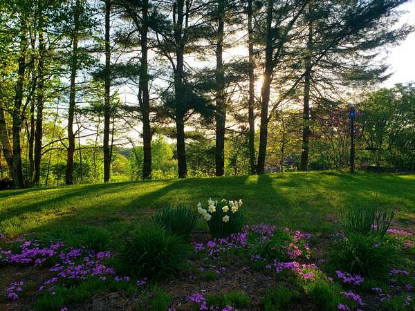 3 Acres of Residential Land for Sale in Windham Town, Maine