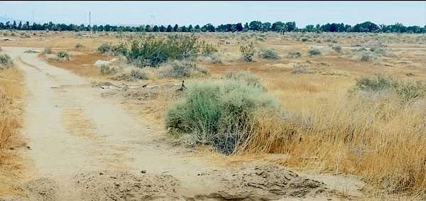 1.28 Acres of Commercial Land for Sale in Lancaster, California