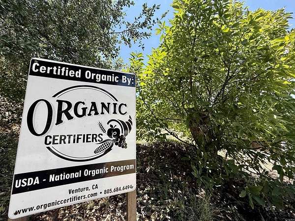 49 Acres of Agricultural Land with Home for Sale in Escondido, California