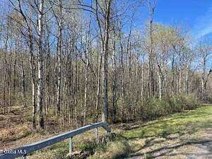 19.6 Acres of Land for Sale in Sharon Springs, New York