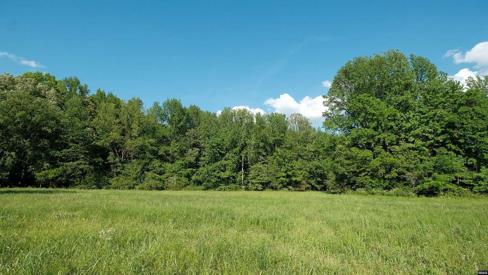 35.1 Acres of Land for Sale in Martin, Tennessee