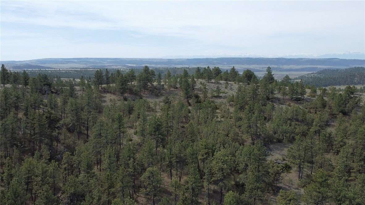 20 Acres of Recreational & Residential Land for Sale in Columbus, Montana