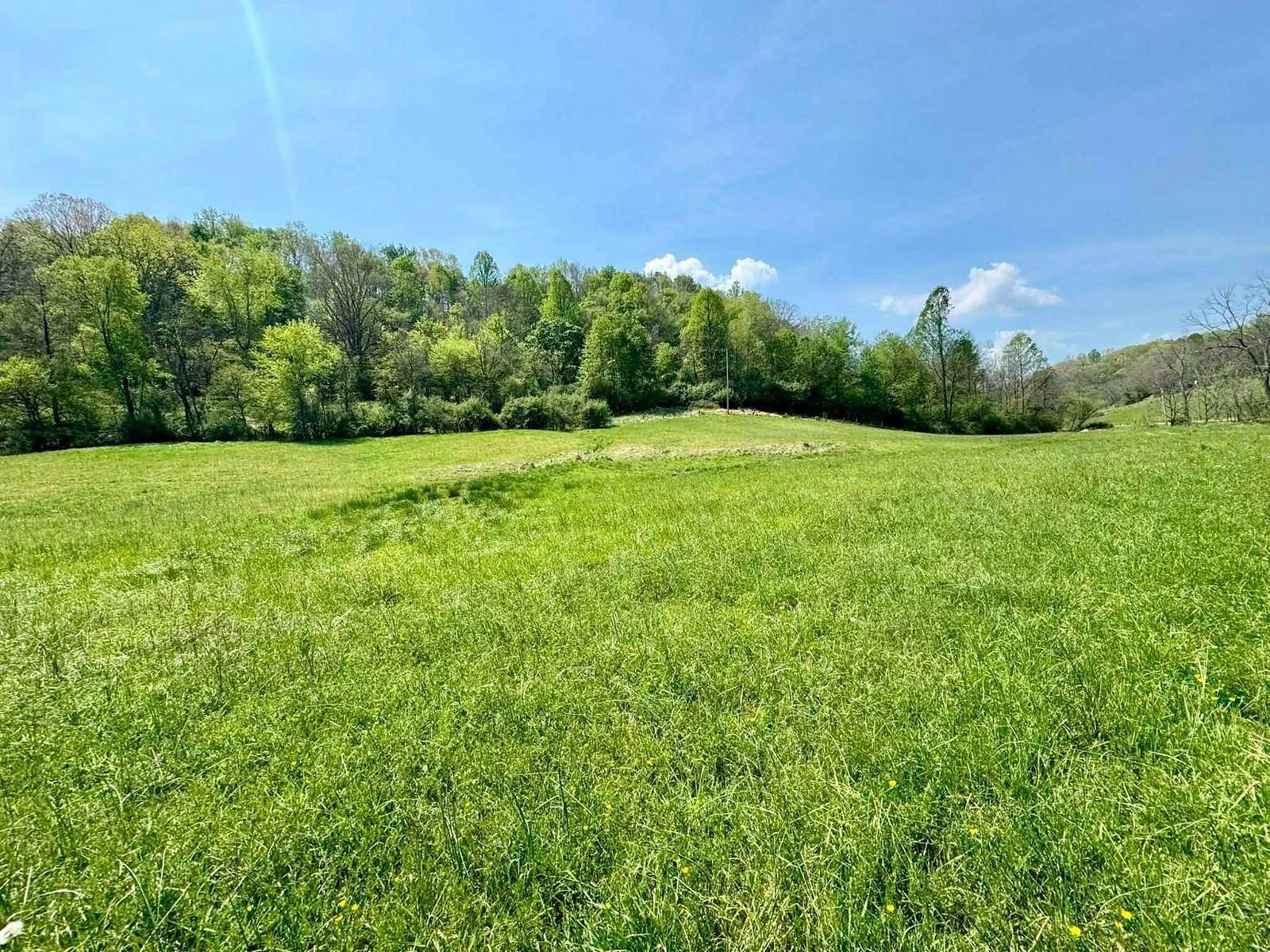 118 Acres of Agricultural & Residential Land for Sale in Spencer, West Virginia