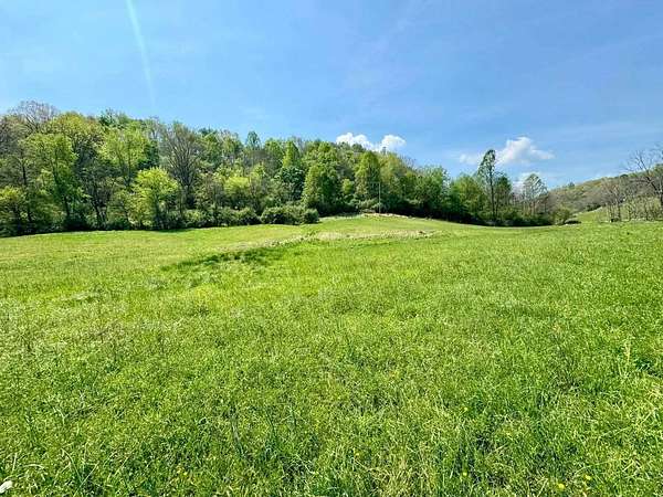 118 Acres of Agricultural & Residential Land for Sale in Spencer, West Virginia
