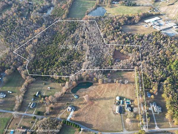 32.3 Acres of Land for Sale in Campobello, South Carolina