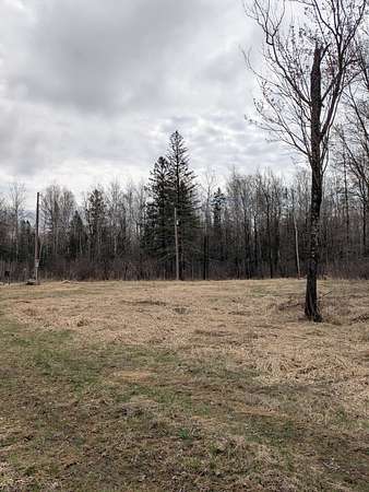 3 Acres of Land for Sale in Tamarack, Minnesota