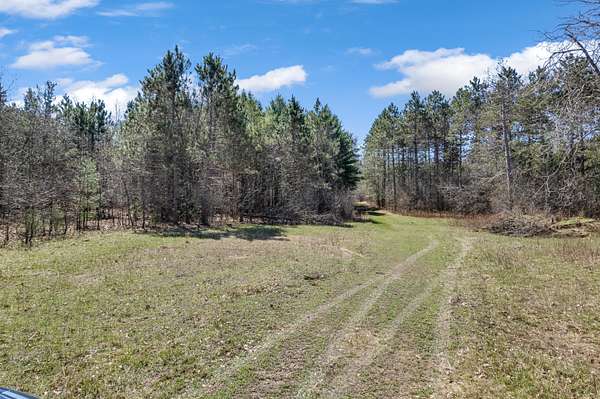 107 Acres of Recreational Land for Sale in Sparta, Wisconsin