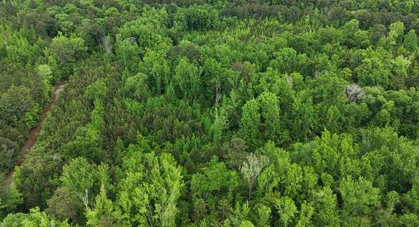 3.86 Acres of Mixed-Use Land for Sale in Manchester, Georgia