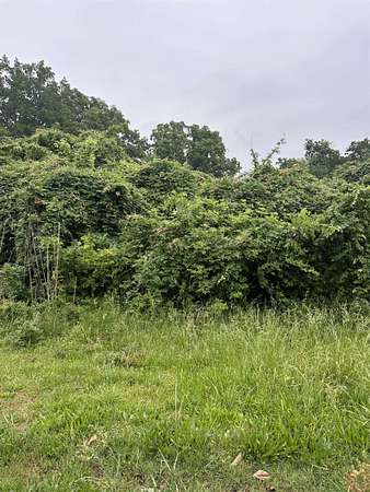 0.22 Acres of Residential Land for Sale in Selmer, Tennessee