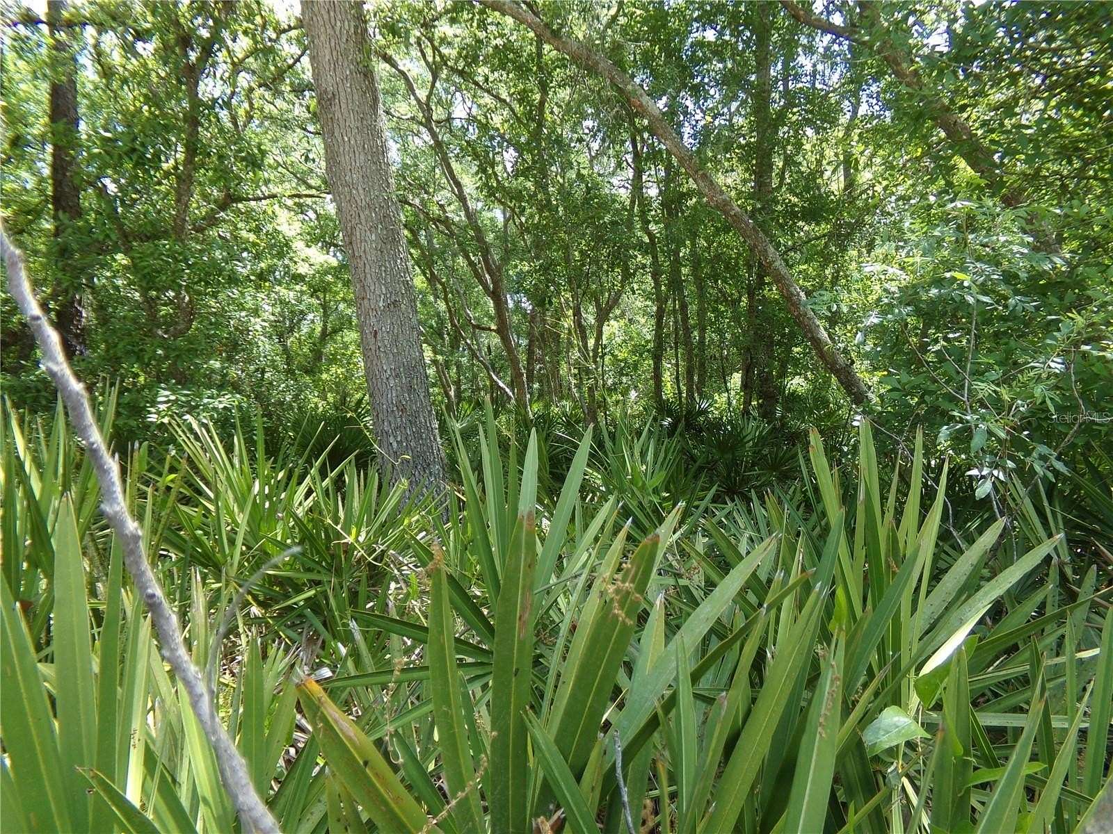 1.17 Acres of Residential Land for Sale in Webster, Florida