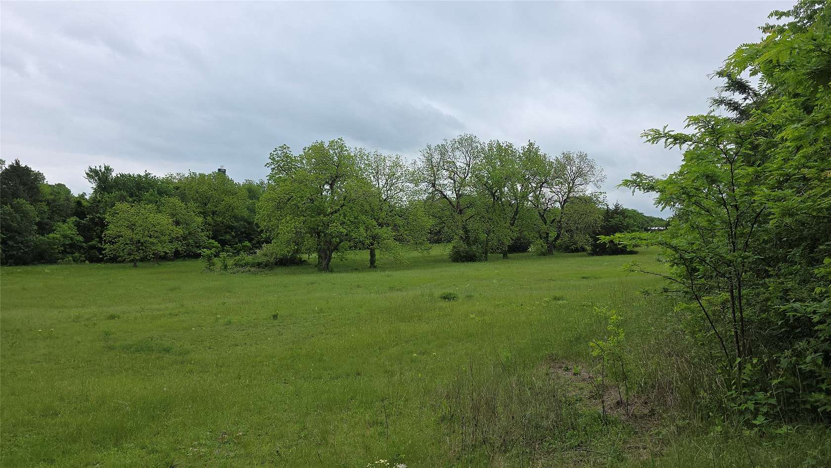 65.6 Acres of Agricultural Land for Sale in Celeste, Texas