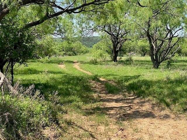 161 Acres of Land for Sale in Baird, Texas