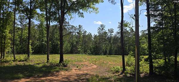 2.5 Acres of Residential Land for Sale in Winnsboro, South Carolina