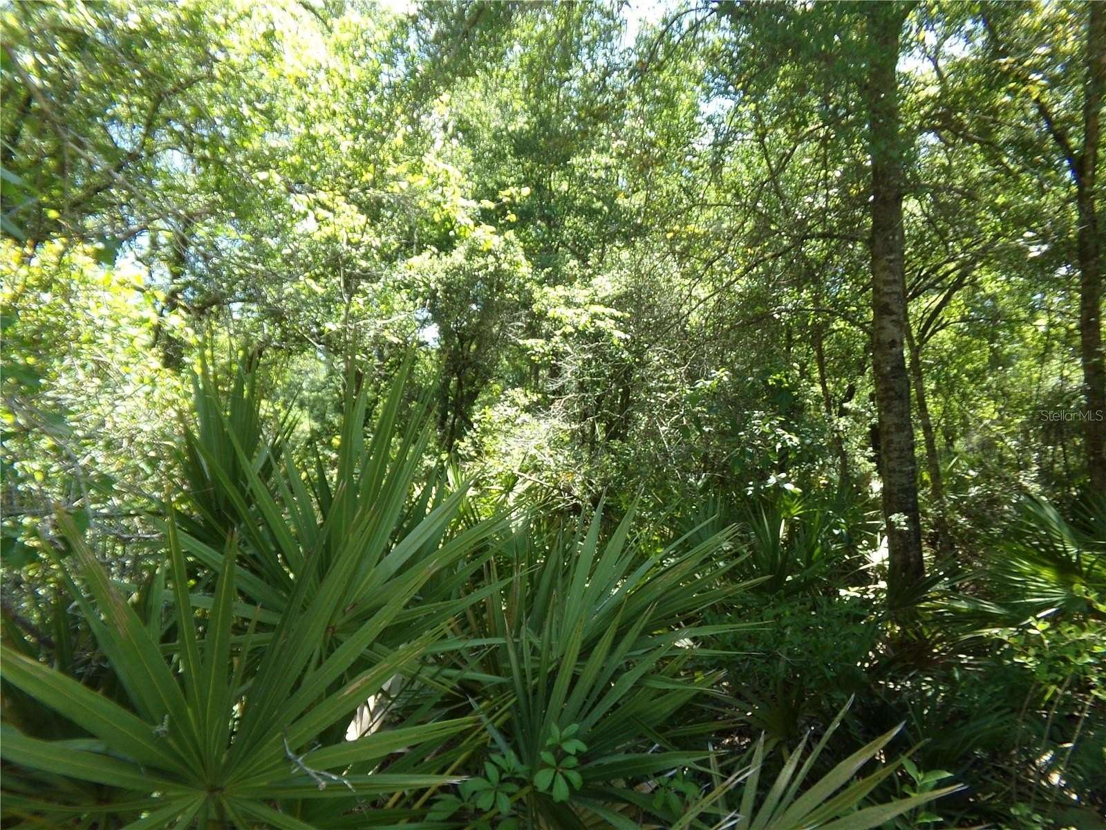 0.34 Acres of Residential Land for Sale in Webster, Florida