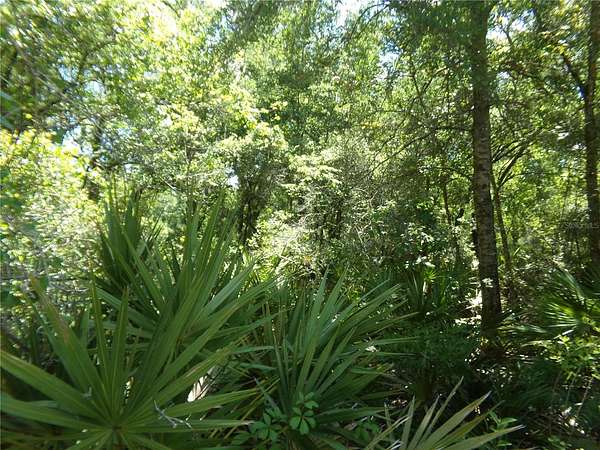 0.34 Acres of Residential Land for Sale in Webster, Florida