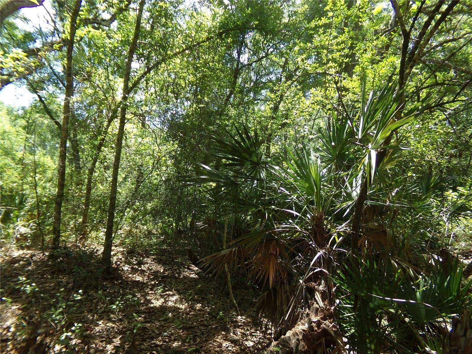 0.34 Acres of Residential Land for Sale in Webster, Florida