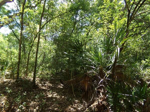 0.34 Acres of Residential Land for Sale in Webster, Florida
