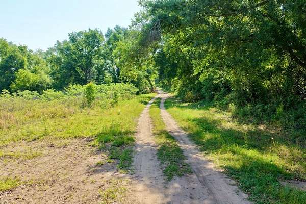 6.75 Acres of Land with Home for Sale in Lee, Florida