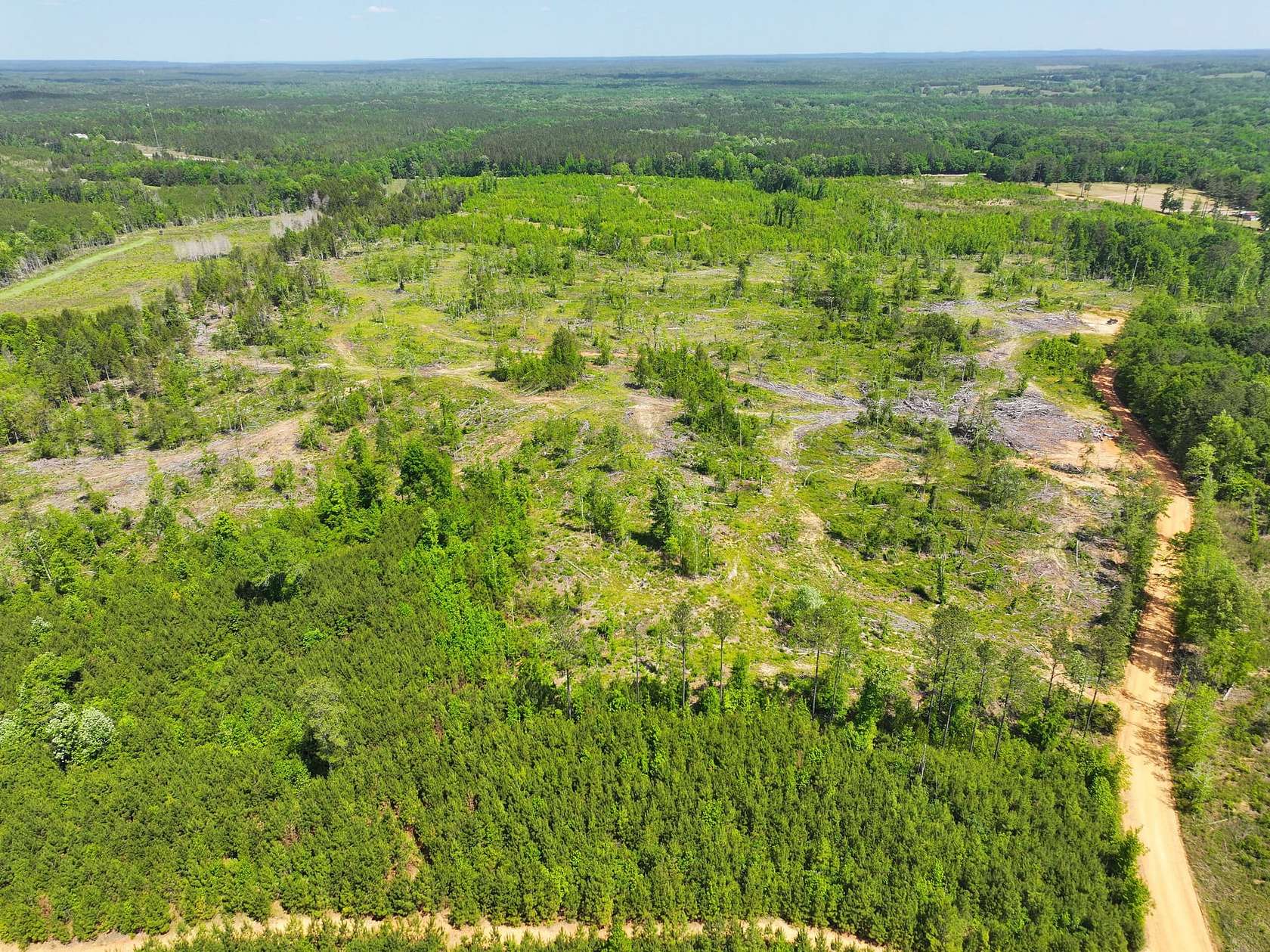 58 Acres of Recreational Land for Sale in Pine Apple, Alabama