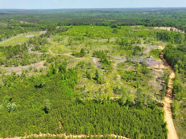 58 Acres of Recreational Land for Sale in Pine Apple, Alabama