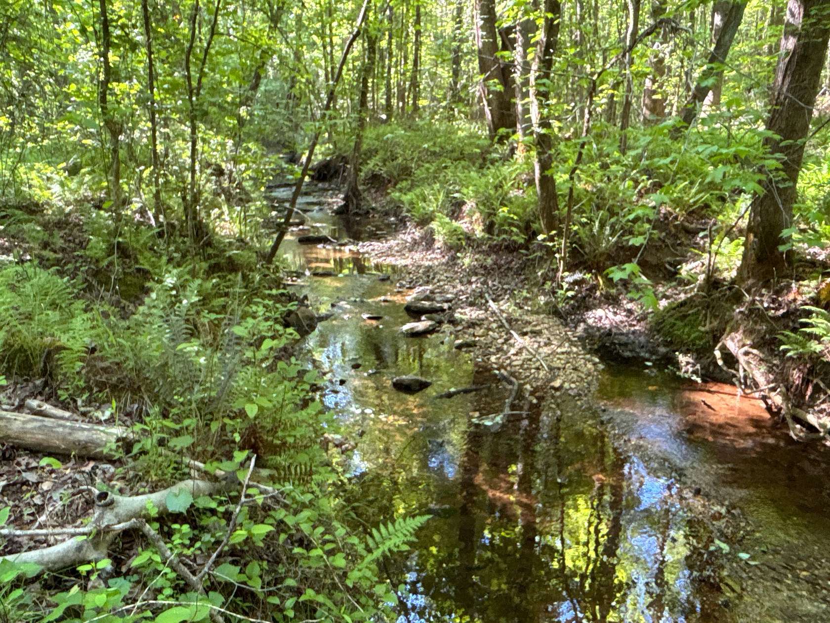 38 Acres of Recreational & Residential Land for Sale in Rockmart, Georgia