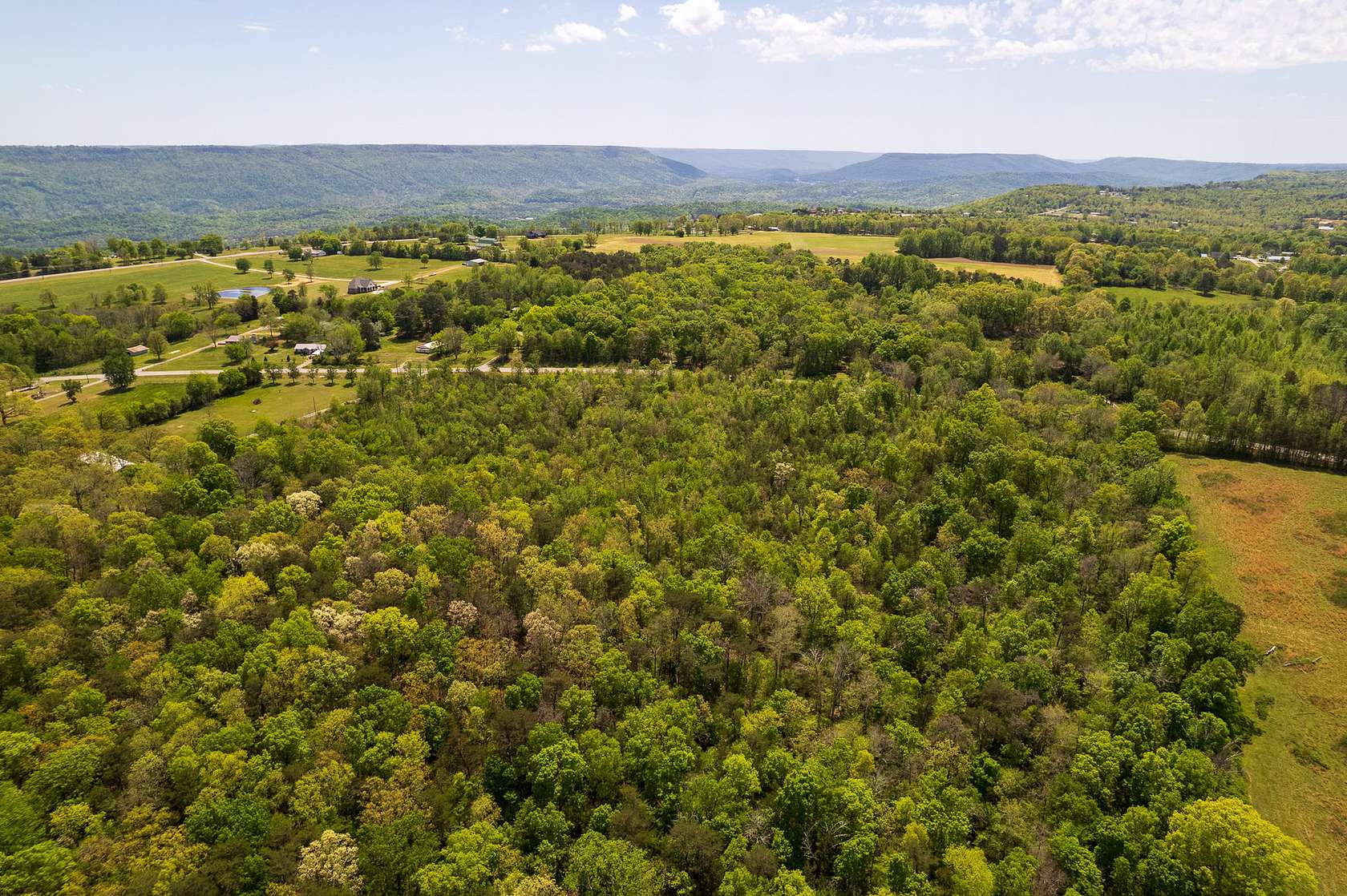 15 Acres of Land for Sale in Trenton, Georgia
