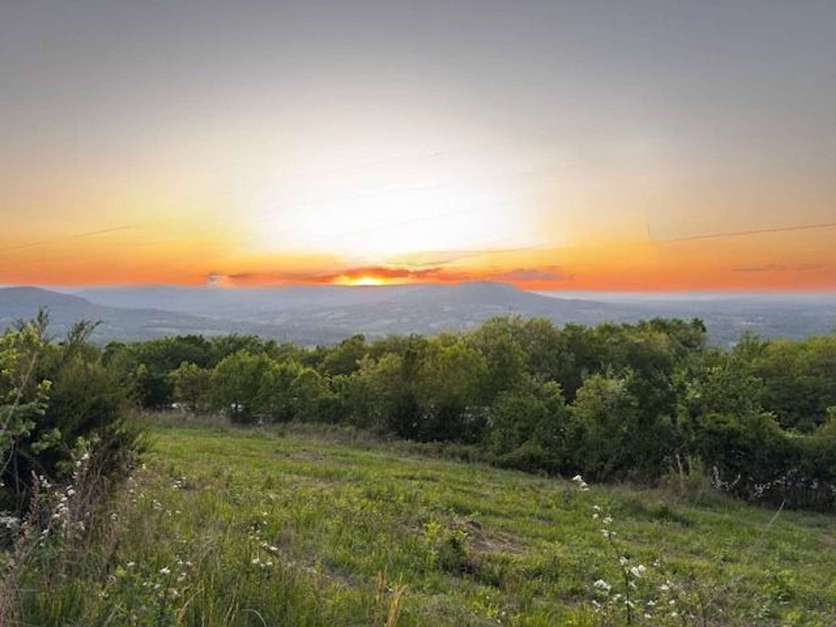 76.5 Acres of Land for Sale in Mount Judea, Arkansas