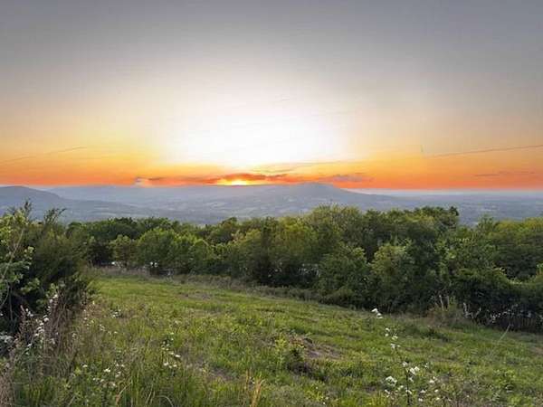 76.5 Acres of Land for Sale in Mount Judea, Arkansas