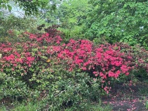 2.68 Acres of Land with Home for Sale in Memphis, Tennessee