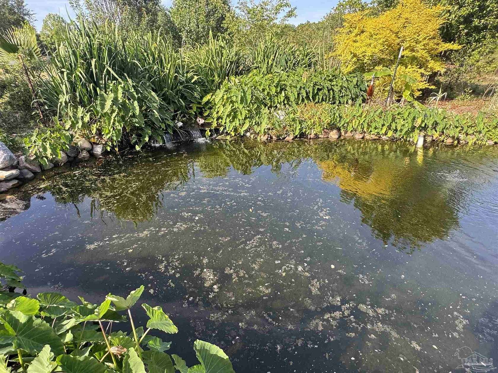 4.58 Acres of Land with Home for Sale in Milton, Florida