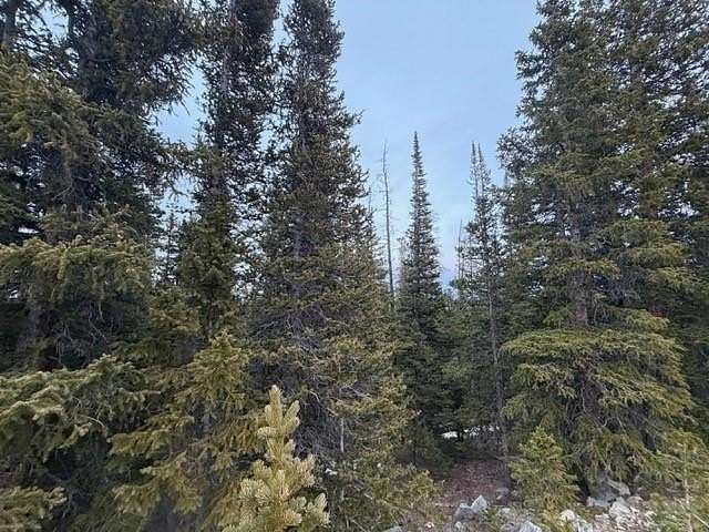 1 Acre of Residential Land for Sale in Fairplay, Colorado