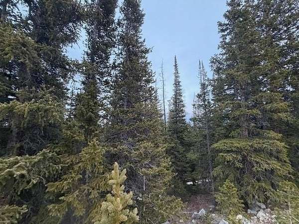 1 Acre of Land for Sale in Fairplay, Colorado