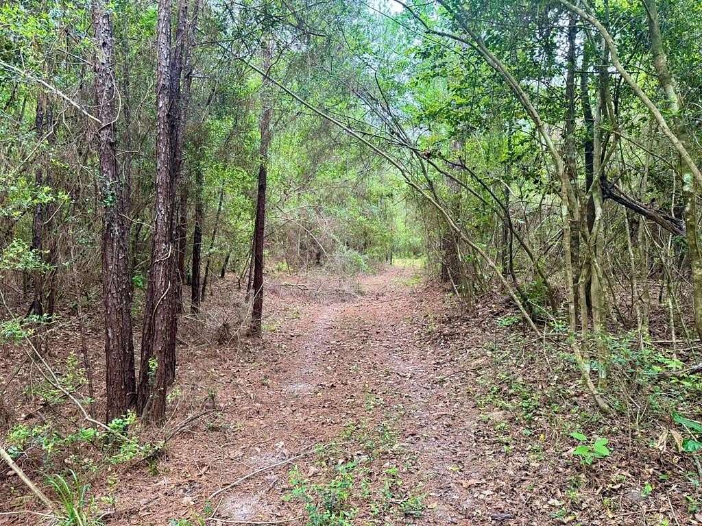 17 Acres of Recreational & Residential Land for Sale in Warren, Texas
