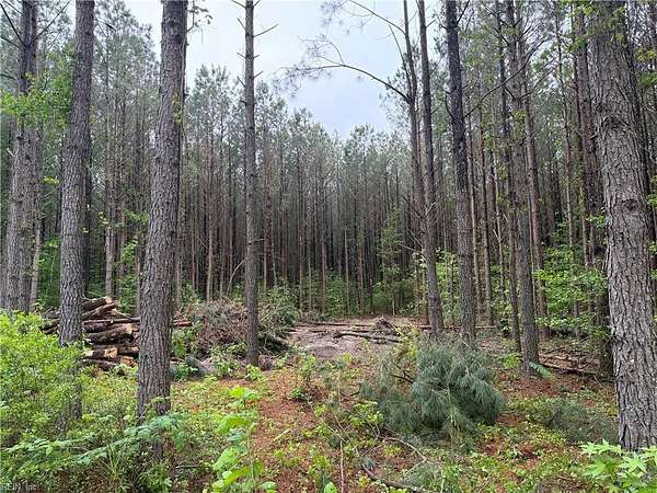 5.52 Acres of Improved Mixed-Use Land for Sale in Gloucester, Virginia