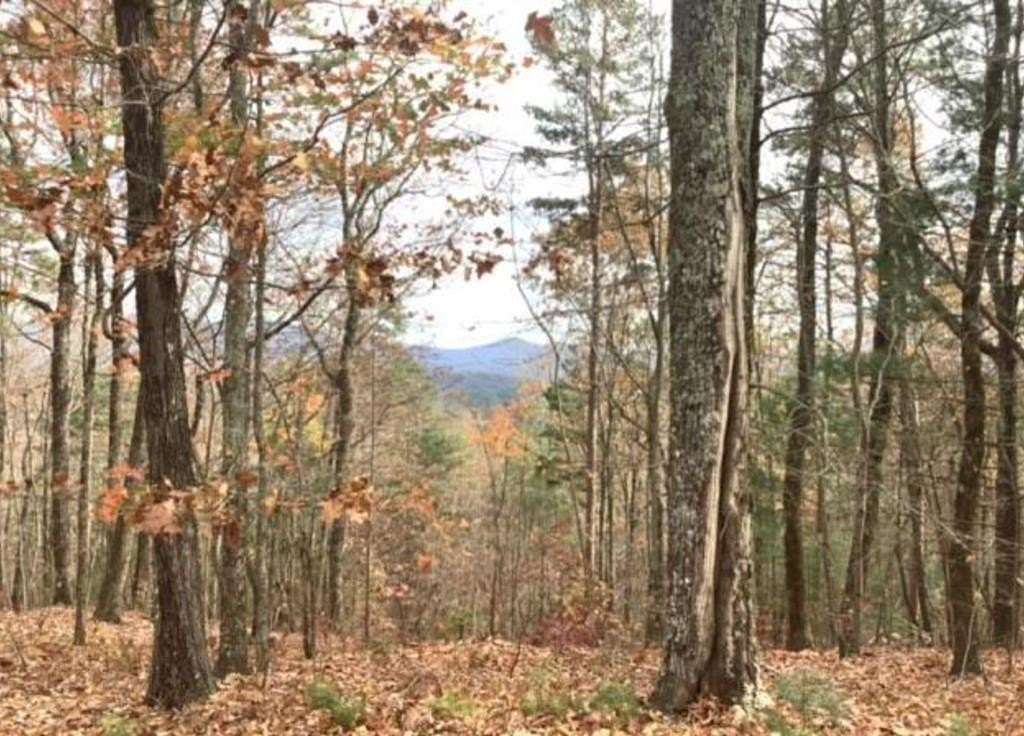 3.2 Acres of Land for Sale in Ellijay, Georgia