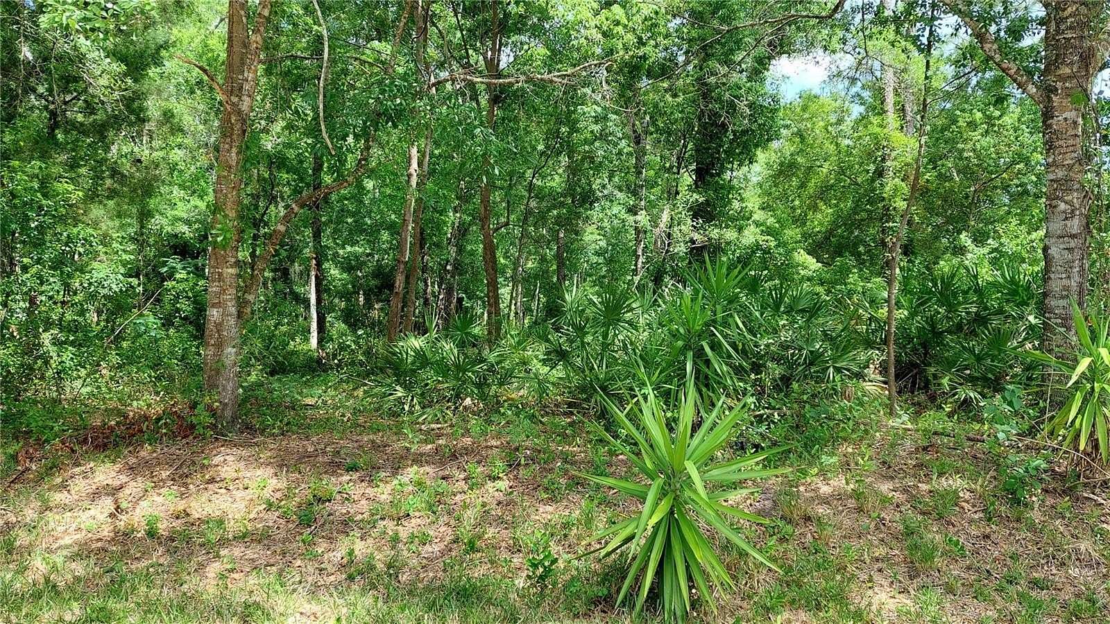 0.96 Acres of Land for Sale in New Port Richey, Florida