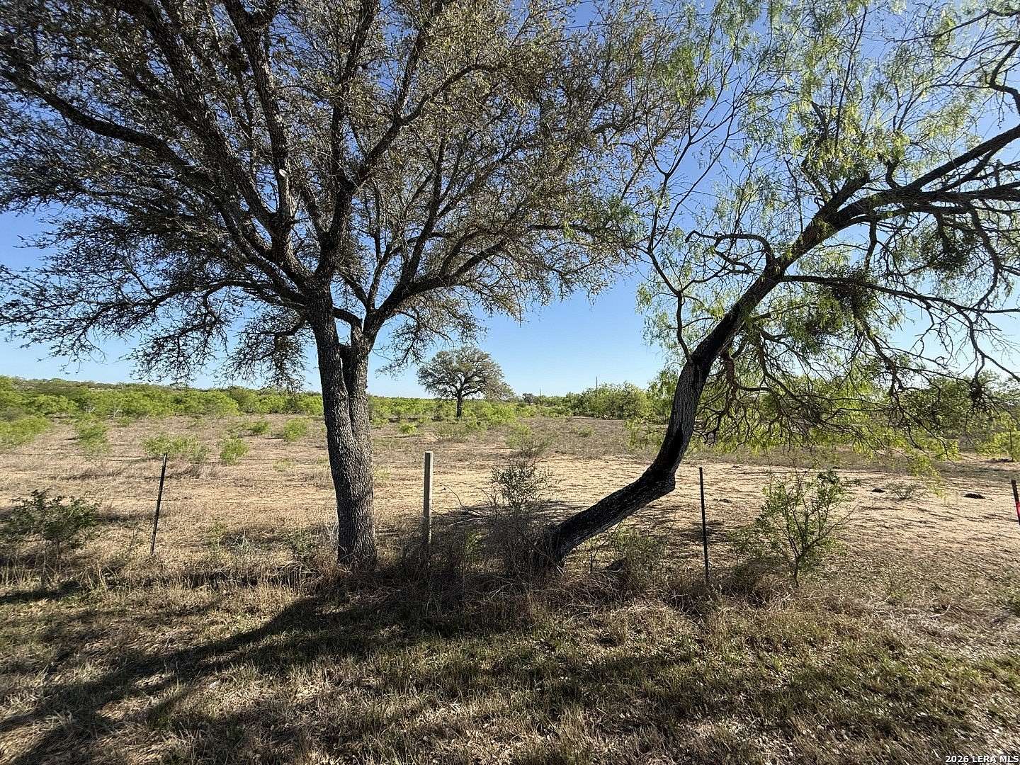 31.8 Acres of Land for Sale in Jourdanton, Texas