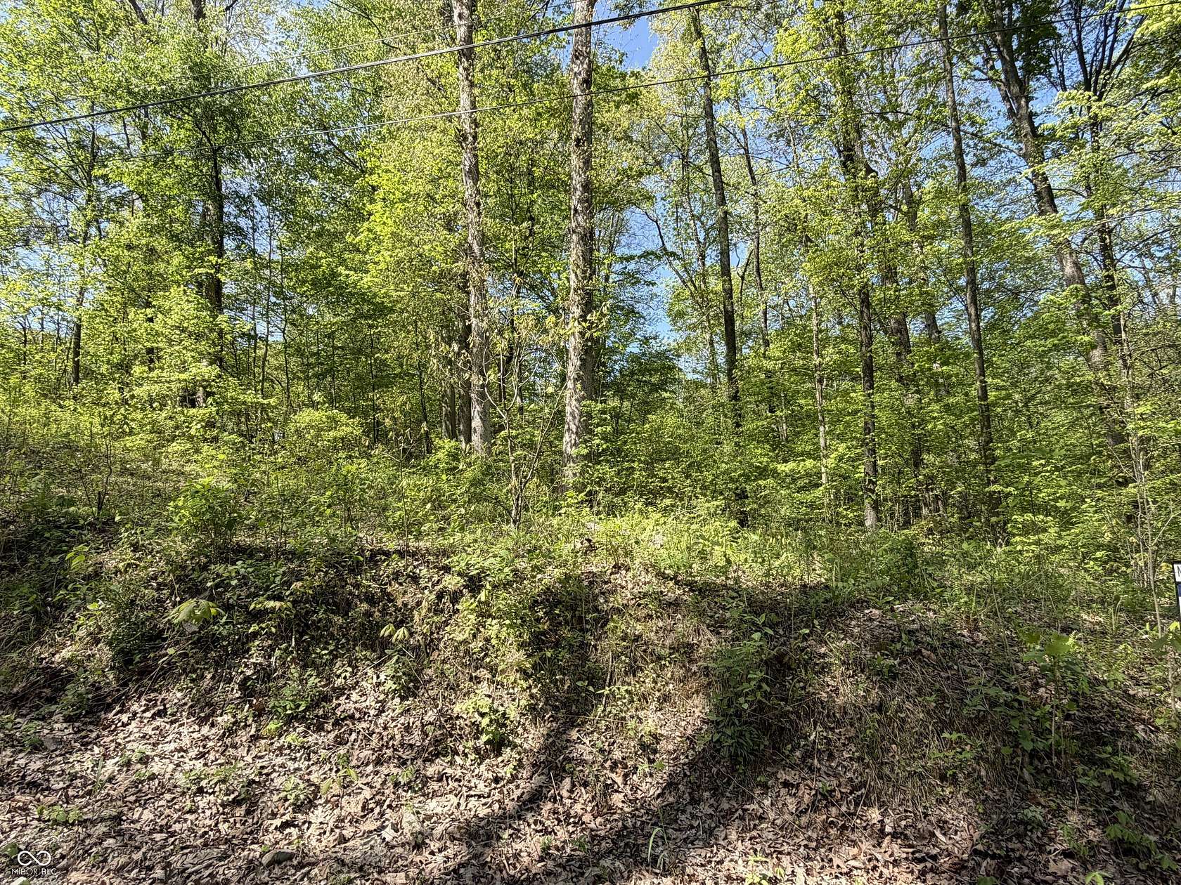 5 Acres of Residential Land for Sale in Coal City, Indiana