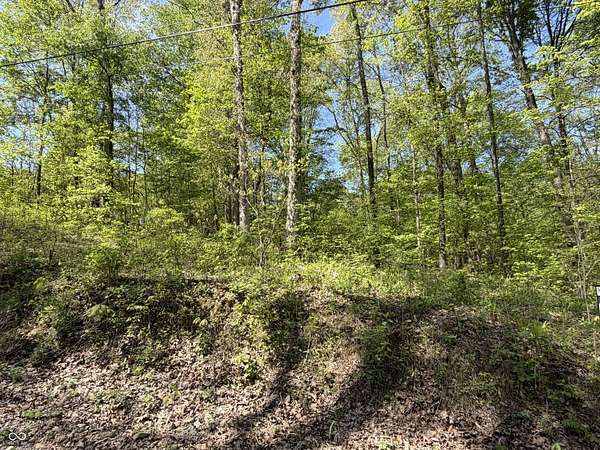 5 Acres of Residential Land for Sale in Coal City, Indiana