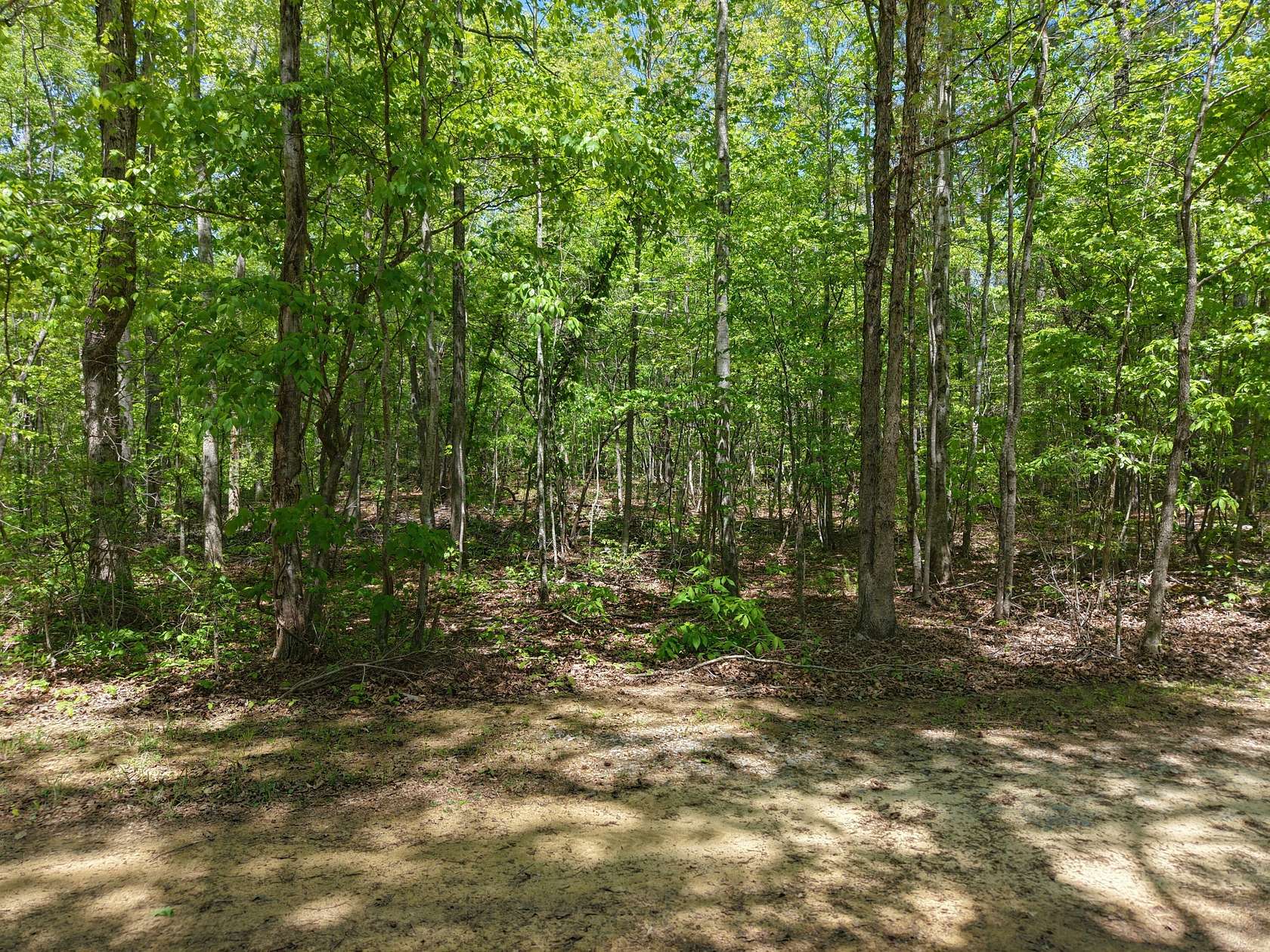 8.6 Acres of Residential Land for Sale in Oldfort, Tennessee