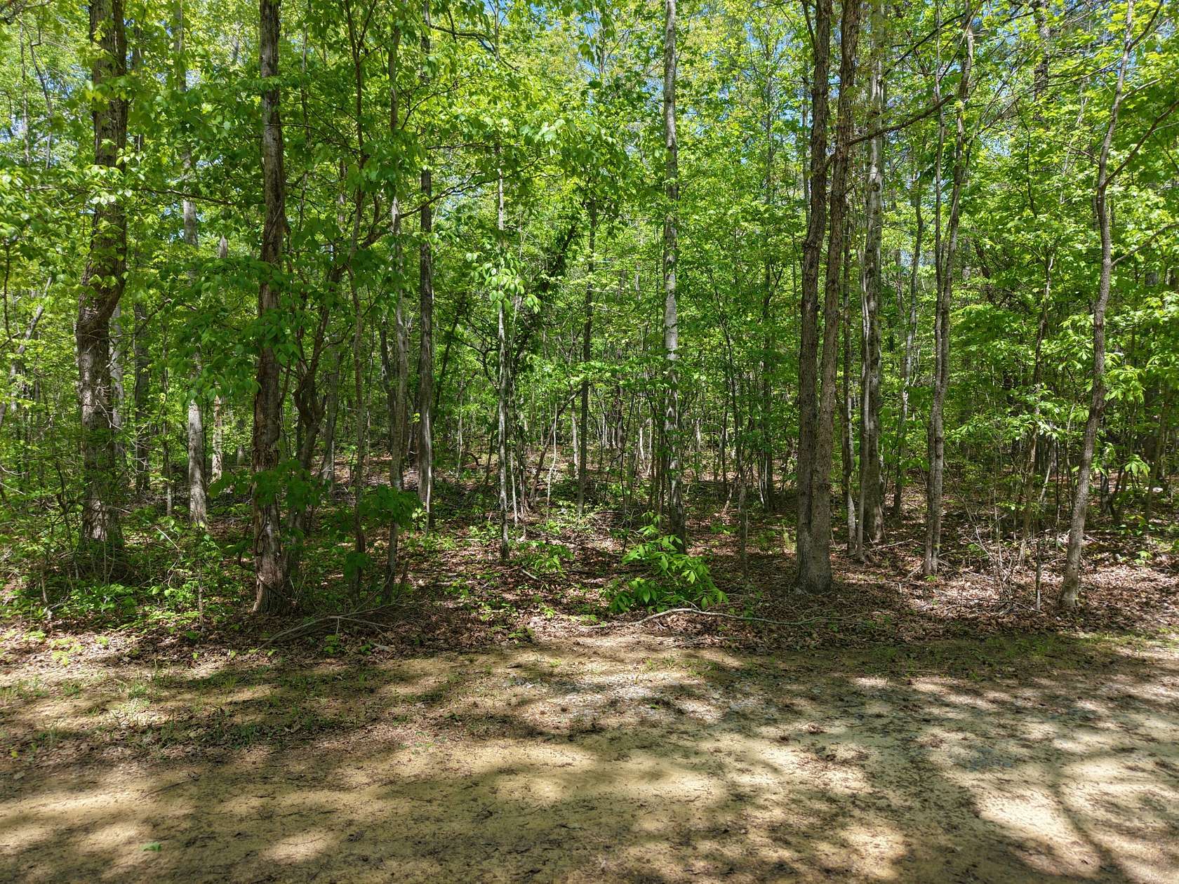 8.6 Acres of Residential Land for Sale in Oldfort, Tennessee