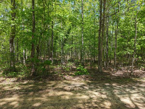 8.6 Acres of Residential Land for Sale in Oldfort, Tennessee