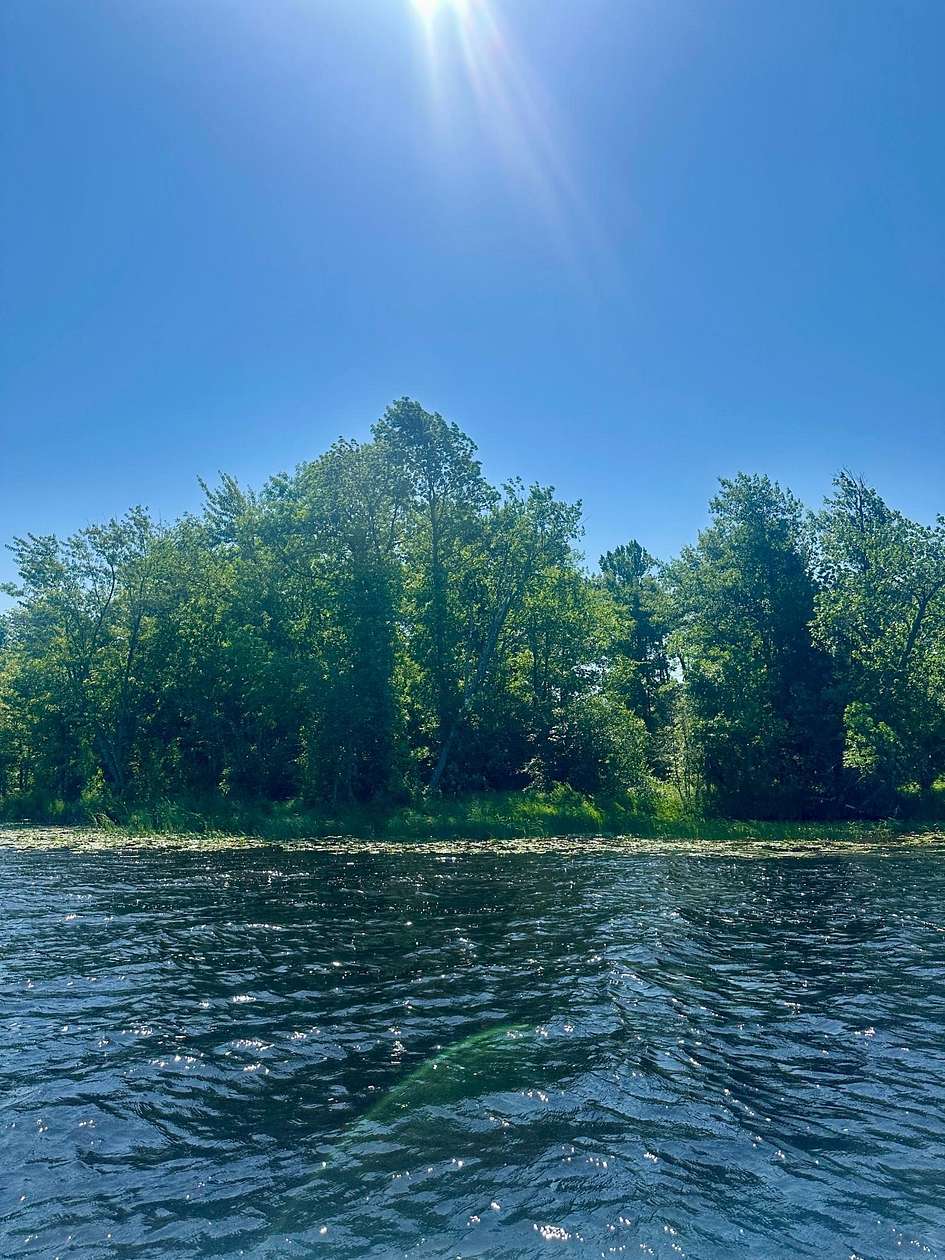 3.34 Acres of Residential Land for Sale in Aitkin, Minnesota