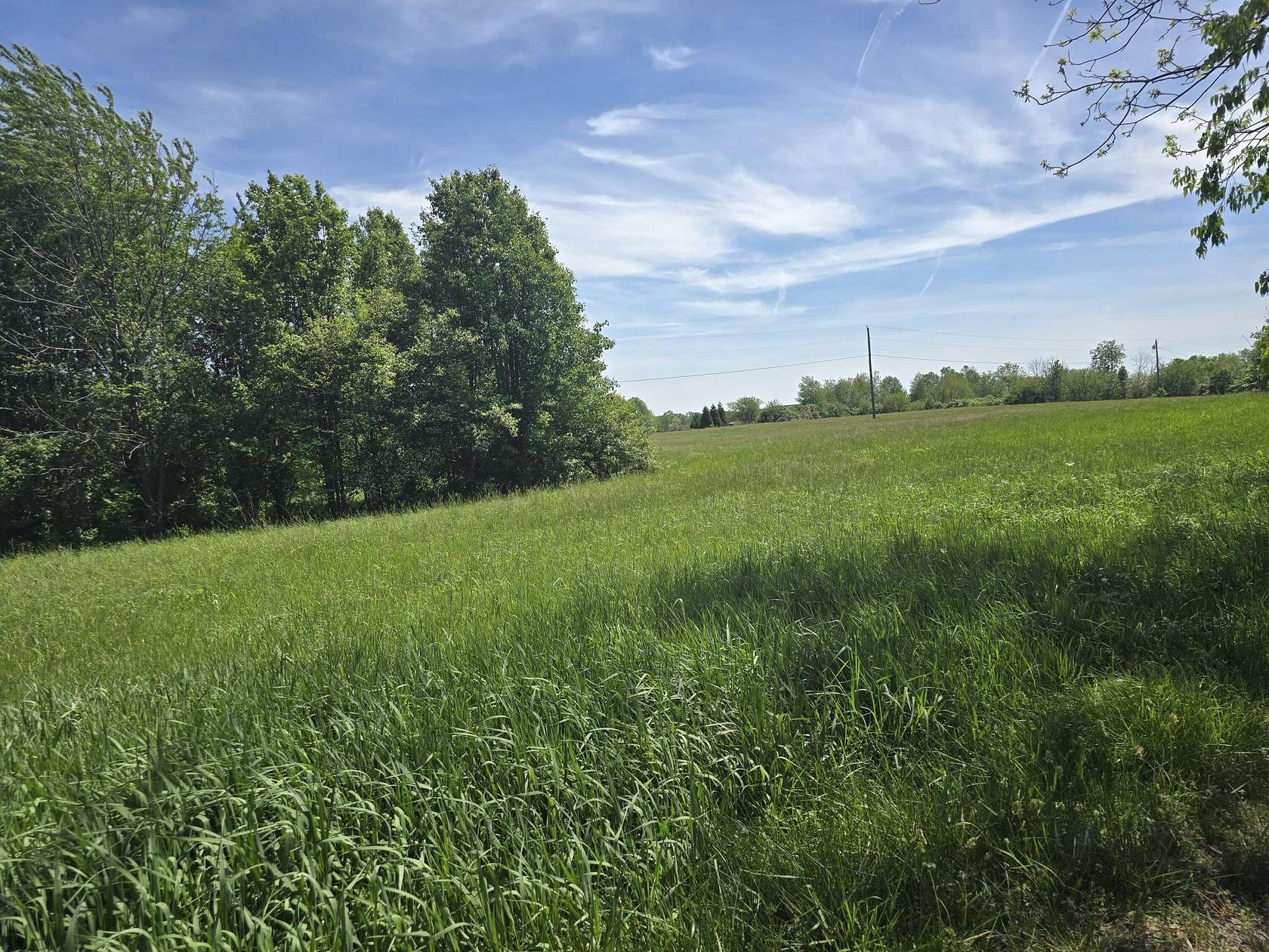 31 Acres of Agricultural Land with Home for Sale in Versailles, Kentucky