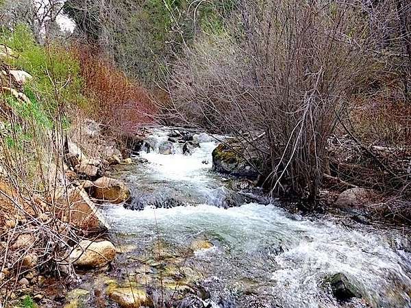 13 Acres of Recreational Land for Sale in Cambridge, Idaho