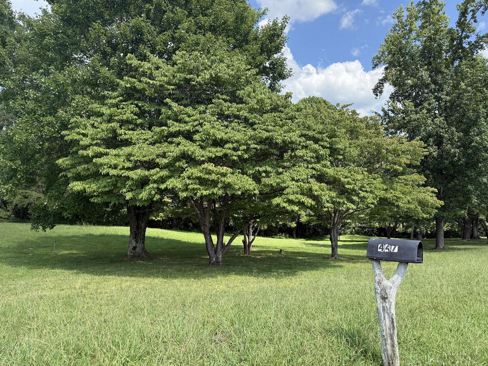 1 Acre of Land for Sale in Jamestown, Kentucky