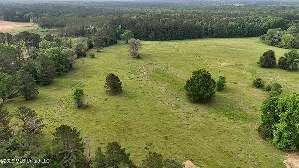 23.9 Acres of Land for Sale in Canton, Mississippi